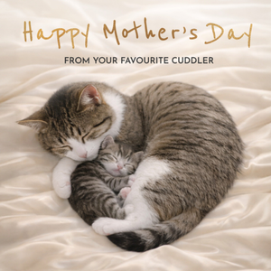 Cute Tabby Cat And Kitten Cuddle Mother's Day Card