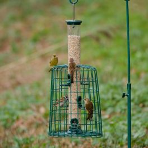 Guardian Caged 6 Port Bird Seed Feeder Defender