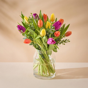 The Mixed Tulips