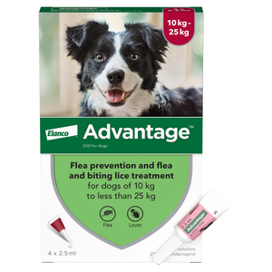 Advantage 250 Flea Treatment for Dogs 4 Pipettes
