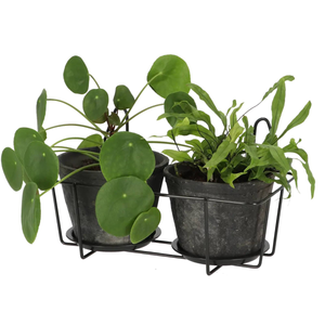 Double Wall Pot Hanger – Iron Planter Holder for Railings, Balconies and Decks