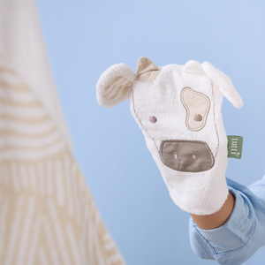 Wash Mitt