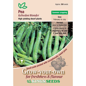Pea <i>Kelvedon Wonder</i>