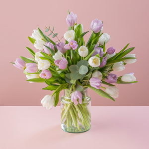 Mixed Tulips