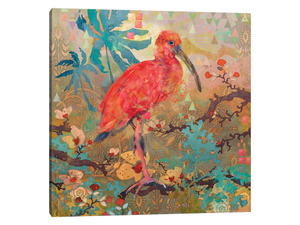 Scarlet Ibis