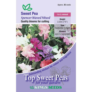 Sweet Pea <i>Spencer Waved Mix</i>
