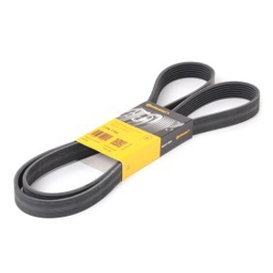 Serpentine belt