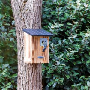 Protector Beaumont Nest Box 28mm