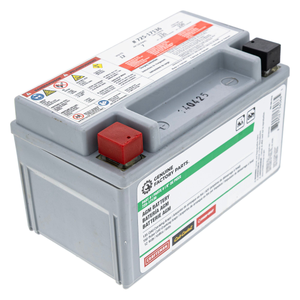 CUB CADET 490-280-F016 135CCA 12 Volt AGM Battery