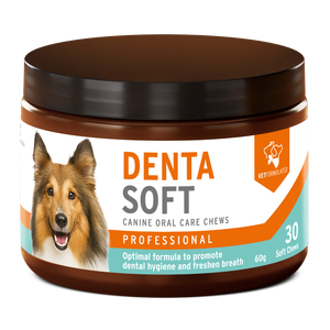 Denta Soft