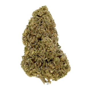 Fyre OG CBD Flower Sun grown