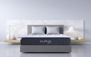 Alpha Theta Premium Pillow Top Mattress, Double