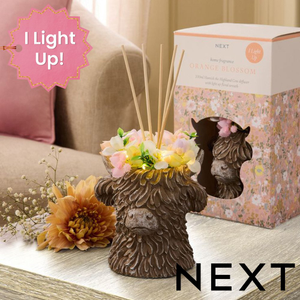 NEXT Hamish 3D Floral 100ml Diffuser
