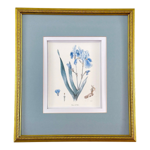 Vintage Botanical Print
