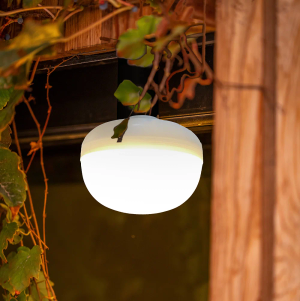 Cherry Bulb with Hook - White