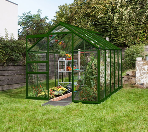 The 6ft Wide Vitavia Apollo Greenhouse Range (With low threshold access)