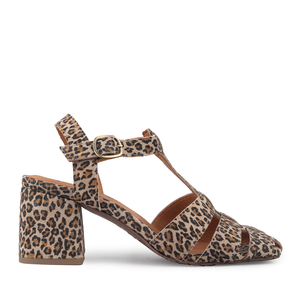 Jenny Leopard - 39 (UK6)