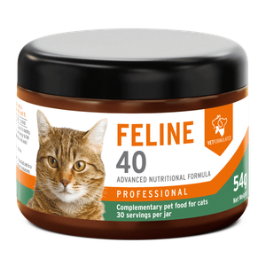 Feline 40