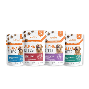 The Alpha Bites Collection