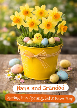 Photographic Yellow Daffodils And Easter Eggs Easter Card