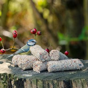 Suet Logs Taster Bundle of 24 (Mealworms, Seeds, Peanuts & Berries)