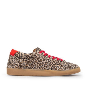 Olly Leopard - 40 (UK7)