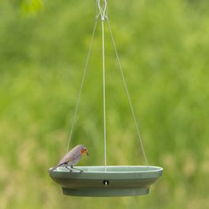 Vesi Hanging Water Dish