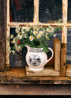 Dairy 1/2 Pint Jug