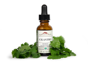 Cilantro Extract Organic