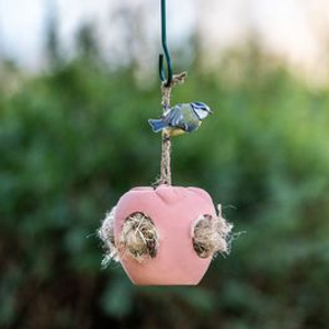 Nesting Holder + FREE Nesting Material Starter Bundle