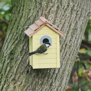 Beach Nest Box 32 mm - Light Yellow