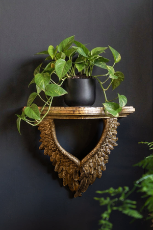 Antiqued Gold Angel Wings Wall Shelf