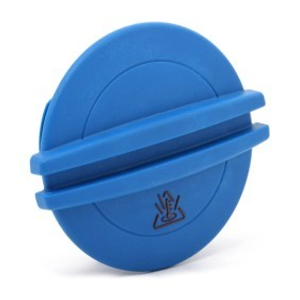 Expansion tank cap