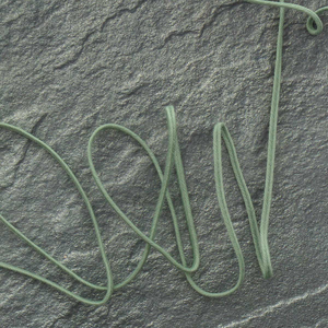 Galon soutache - Vert sauge