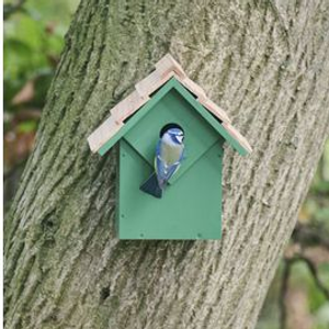 Diamond Nest Box 32 mm - Green