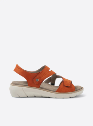 Ikaria - brick vegan biocare - Orange, 39