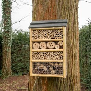 Capri Bee & Insect Hotel