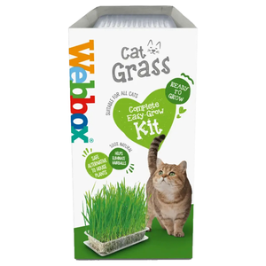Webbox Cat Grass Easy-Grow Kit 120g