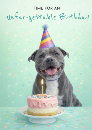 Time For An Unfur-Gettable Birthday Staffordshire Bull Terrier Card