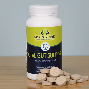 Total Gut Support for Dogs