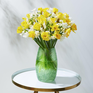 Spring Daffodils
