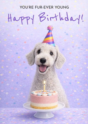 Fur-Ever Young Miniature Poodle Birthday Card