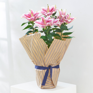 Oriental Lily
