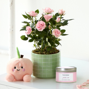 Cute Pink Rose Gift Set