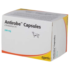 Antirobe 300mg Capsules for Dogs