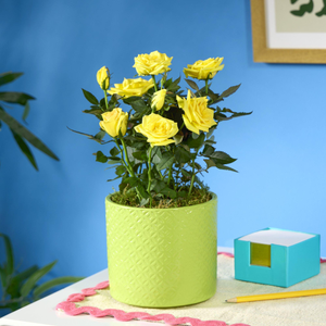 Yellow Rose Ceramic