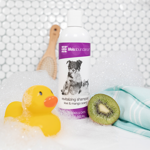 Revitalizing Shampoo for Dogs and Cats