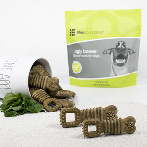Ugly Bones; Dental Treats for Dogs