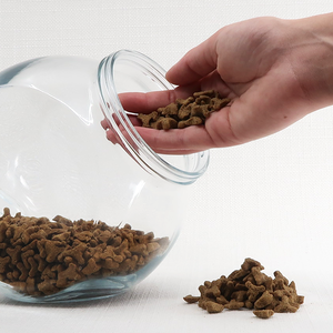 Gourmet Cat Treats for Healthy Skin & Coat