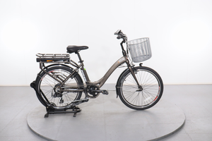 KHS Easy 24